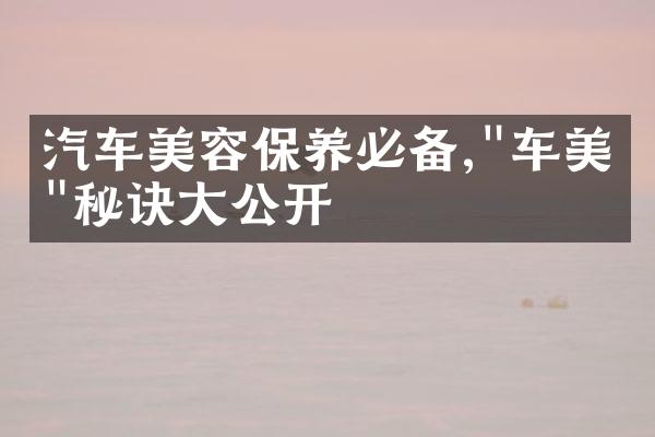 汽车美容保养必备,"车美人"秘诀大公开