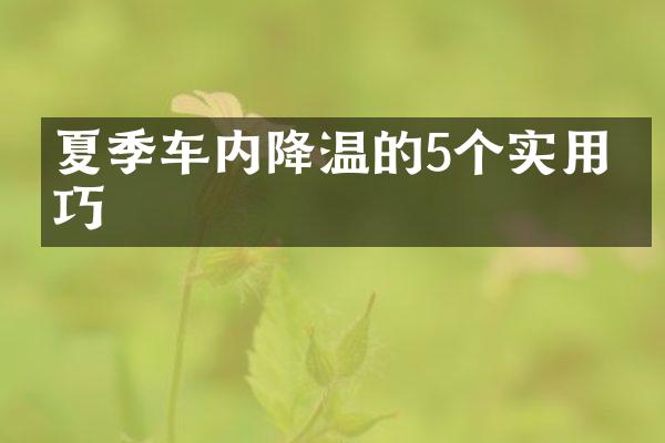 夏季车内降温的5个实用技巧