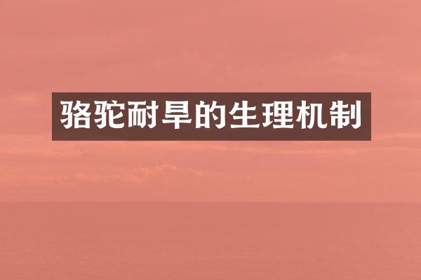 骆驼耐旱的生理机制