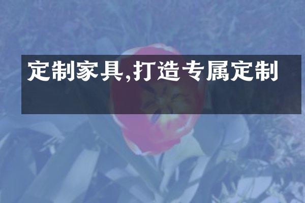 定制家具,打造专属定制家