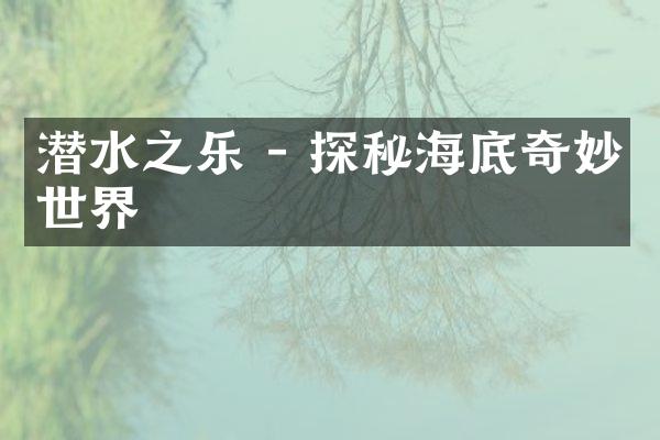 潜水之乐 - 探秘海底奇妙世界