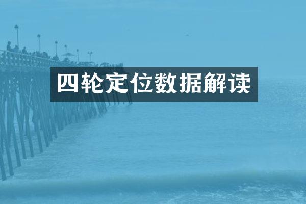 四轮定位数据解读