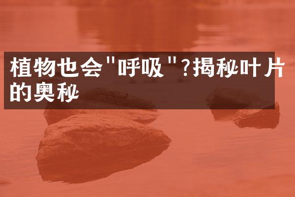 植物也会"呼吸"?揭秘叶片的奥秘