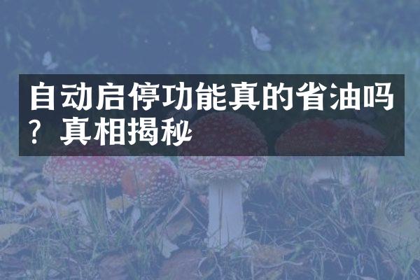 自动启停功能真的省油吗？真相揭秘