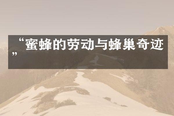 “蜜蜂的劳动与蜂巢奇迹”