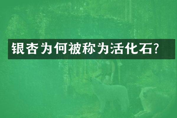银杏为何被称为活化石？