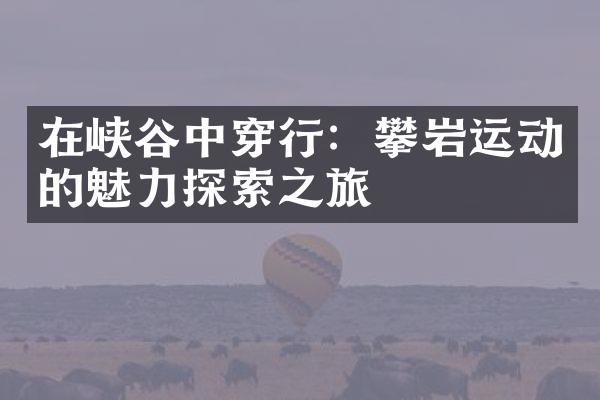 在峡谷中穿行：攀岩运动的魅力探索之旅