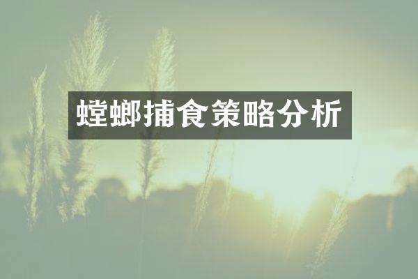 螳螂捕食策略分析