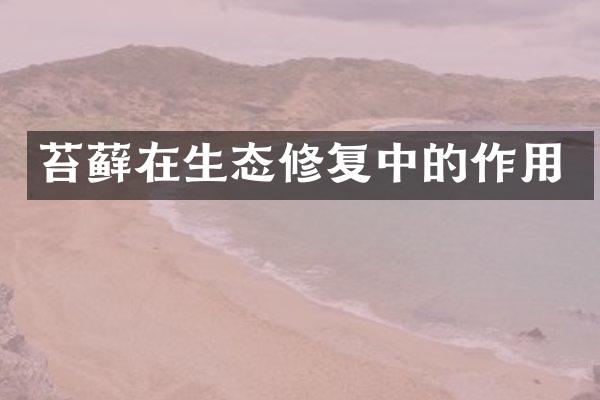 苔藓在生态修复中的作用