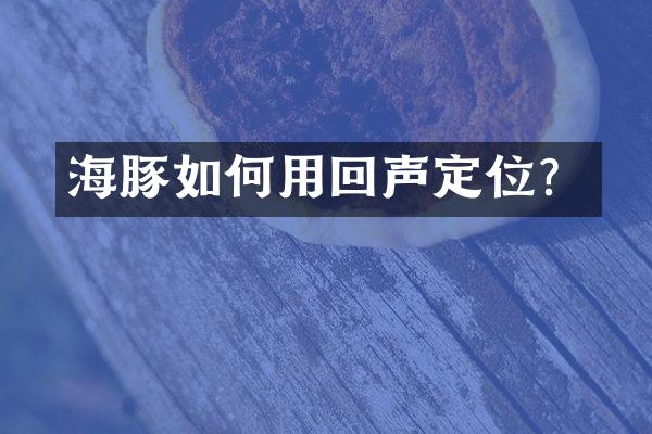 海豚如何用回声定位？