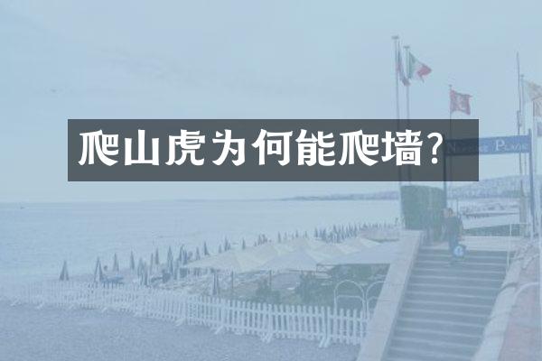 爬山虎为何能爬墙？