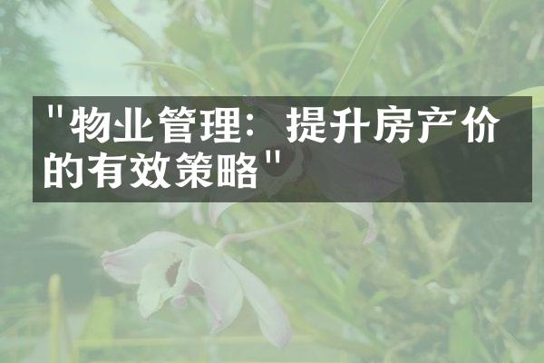 "物业管理：提升房产价值的有效策略"