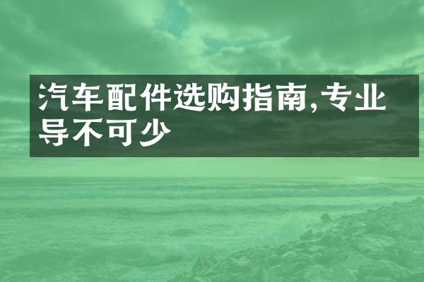 汽车配件选购指南,专业指导不可少