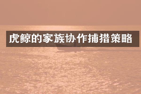 虎鲸的家族协作捕猎策略