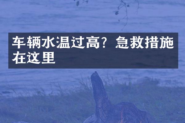 车辆水温过高？急救措施在这里