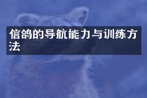 信鸽的导航能力与训练方法