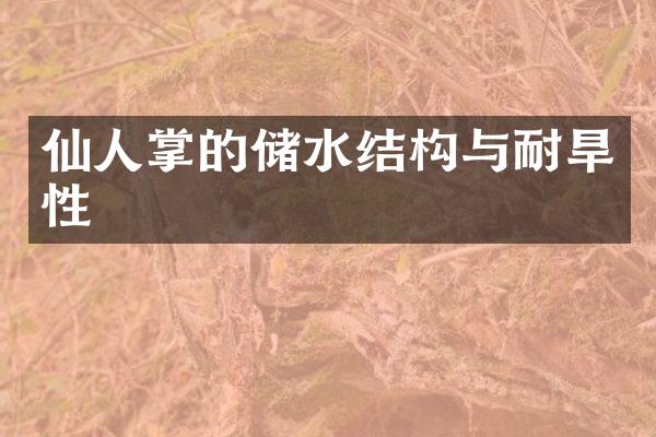 仙人掌的储水结构与耐旱性