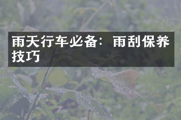 雨天行车必备：雨刮保养技巧