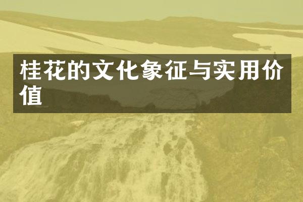 桂花的文化象征与实用价值