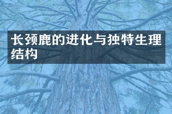 长颈鹿的进化与独特生理结构