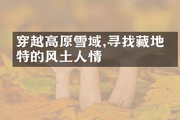穿越高原雪域,寻找藏地独特的风土人情