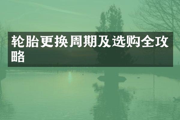 轮胎更换周期及选购全攻略
