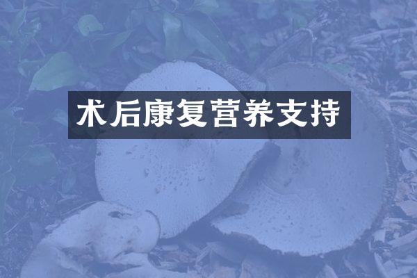 术后康复营养支持