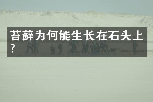 苔藓为何能生长在石头上？