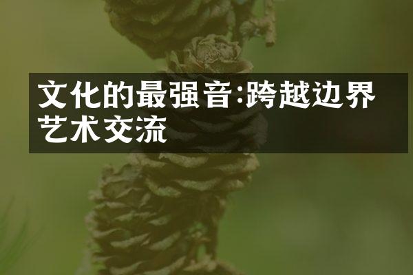 文化的最强音:跨越边界的艺术交流