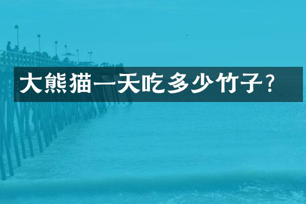 大熊猫一天吃多少竹子？