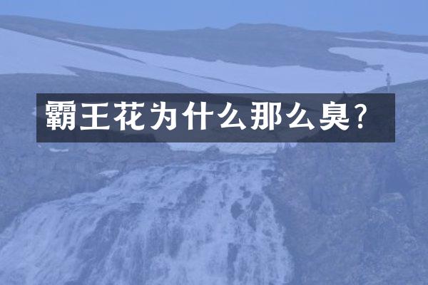 霸王花为什么那么臭？