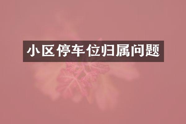 小区停车位归属问题