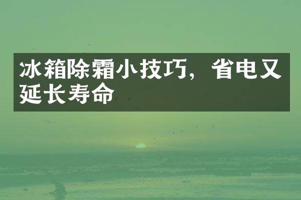 冰箱除霜小技巧，省电又延长寿命
