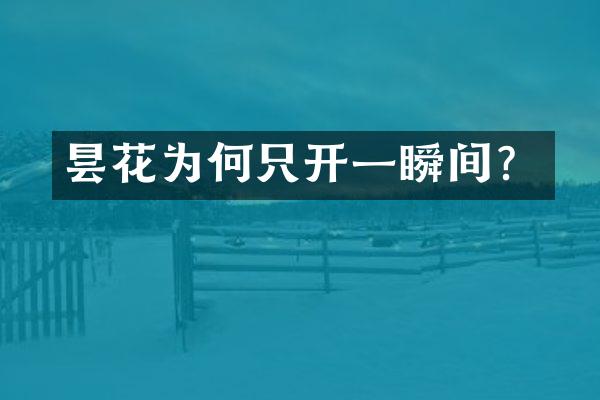 昙花为何只开一瞬间？