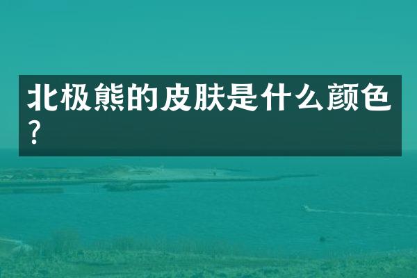 北极熊的皮肤是什么颜色？