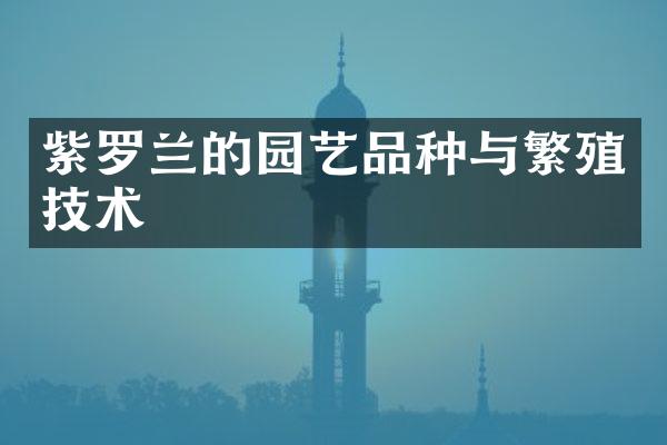 紫罗兰的园艺品种与繁殖技术