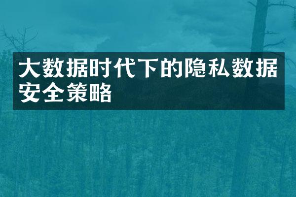 大数据时代下的隐私数据安全策略