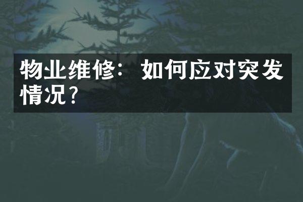 物业维修：如何应对突发情况？