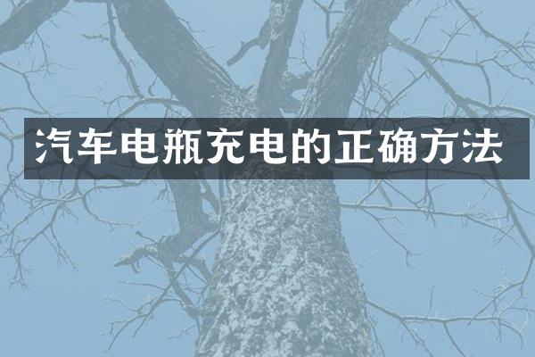 汽车电瓶充电的正确方法