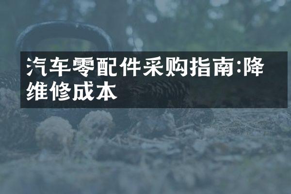 汽车零配件采购指南:降低维修成本