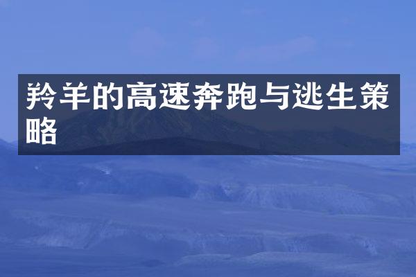 羚羊的高速奔跑与逃生策略
