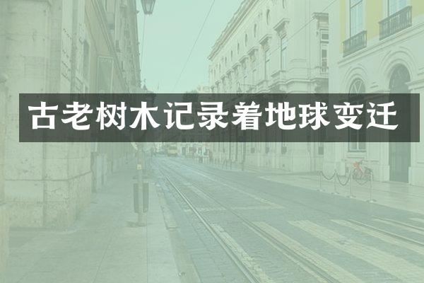 古老树木记录着地球变迁