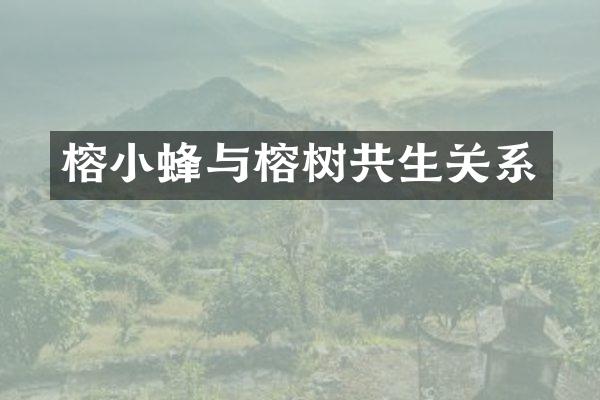 榕小蜂与榕树共生关系