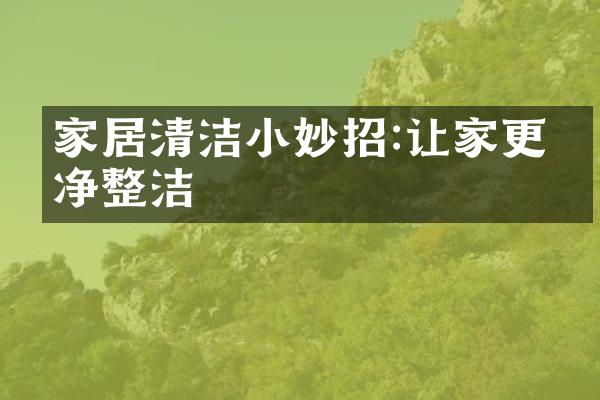 家居清洁小妙招:让家更干净整洁