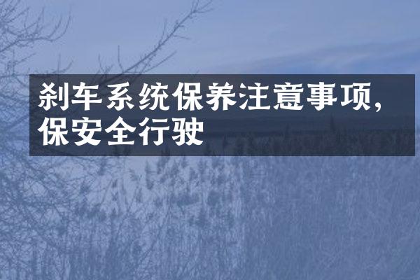 刹车系统保养注意事项,确保安全行驶
