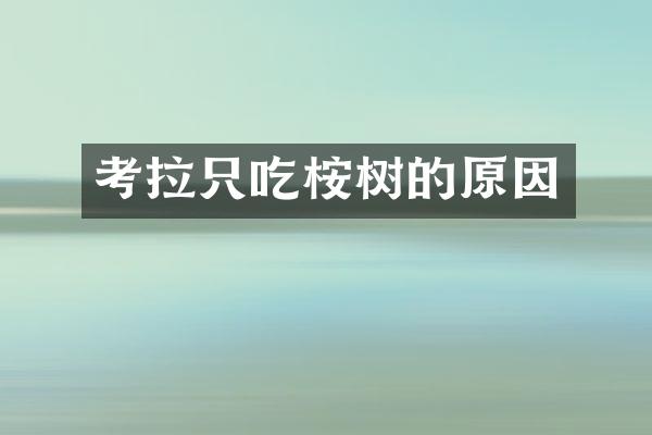 考拉只吃桉树的原因