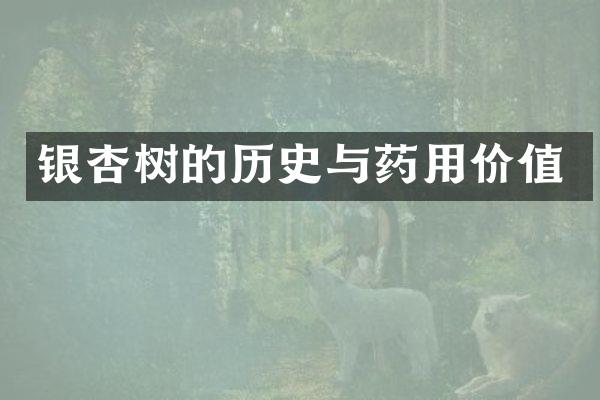 银杏树的历史与药用价值