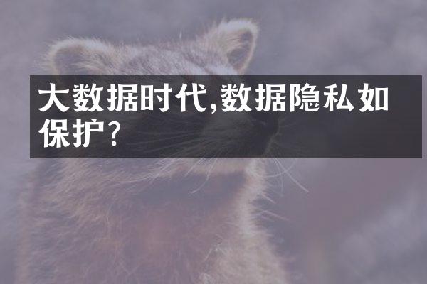 大数据时代,数据隐私如何保护?