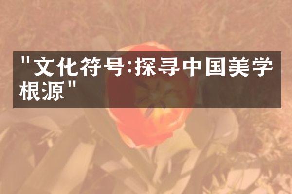 "文化符号:探寻中国美学的根源"