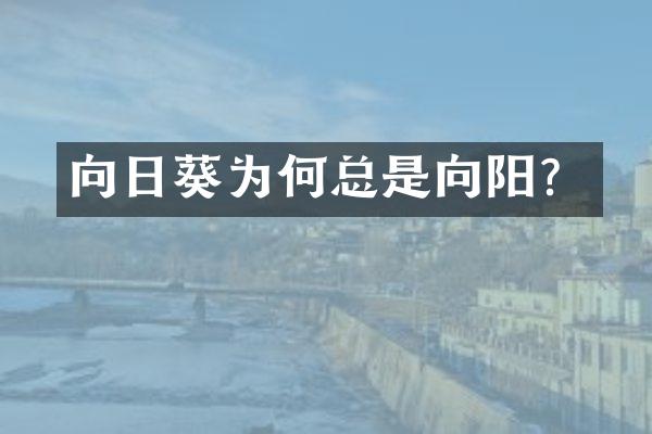 向日葵为何总是向阳？